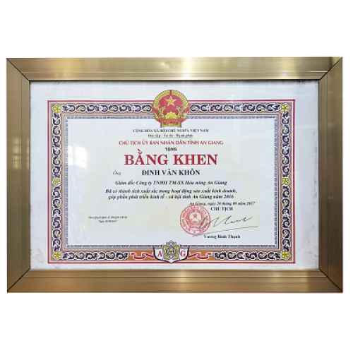 V. Thành tựu của công ty